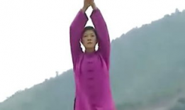 壮熊视频,揭秘野生动物的雄壮与力量